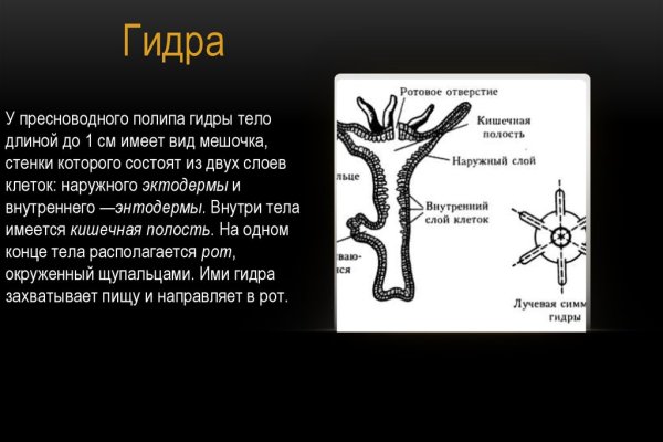 Что такое кракен в даркнете